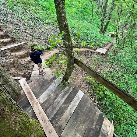 Chata554 Domasa Valkov בקתה *