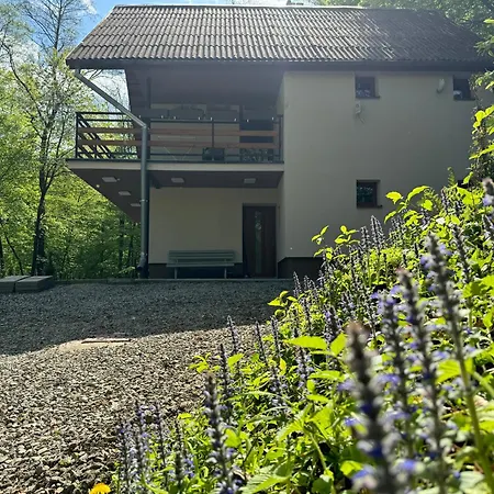 Chata554 Domasa Valkov *