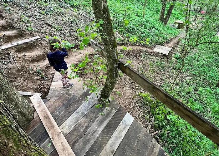 Chata554 Domasa Valkov Alpesi faház *