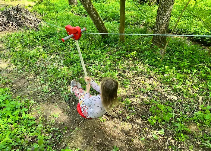 Chata554 Domasa Valkov Alpesi faház Bodzás